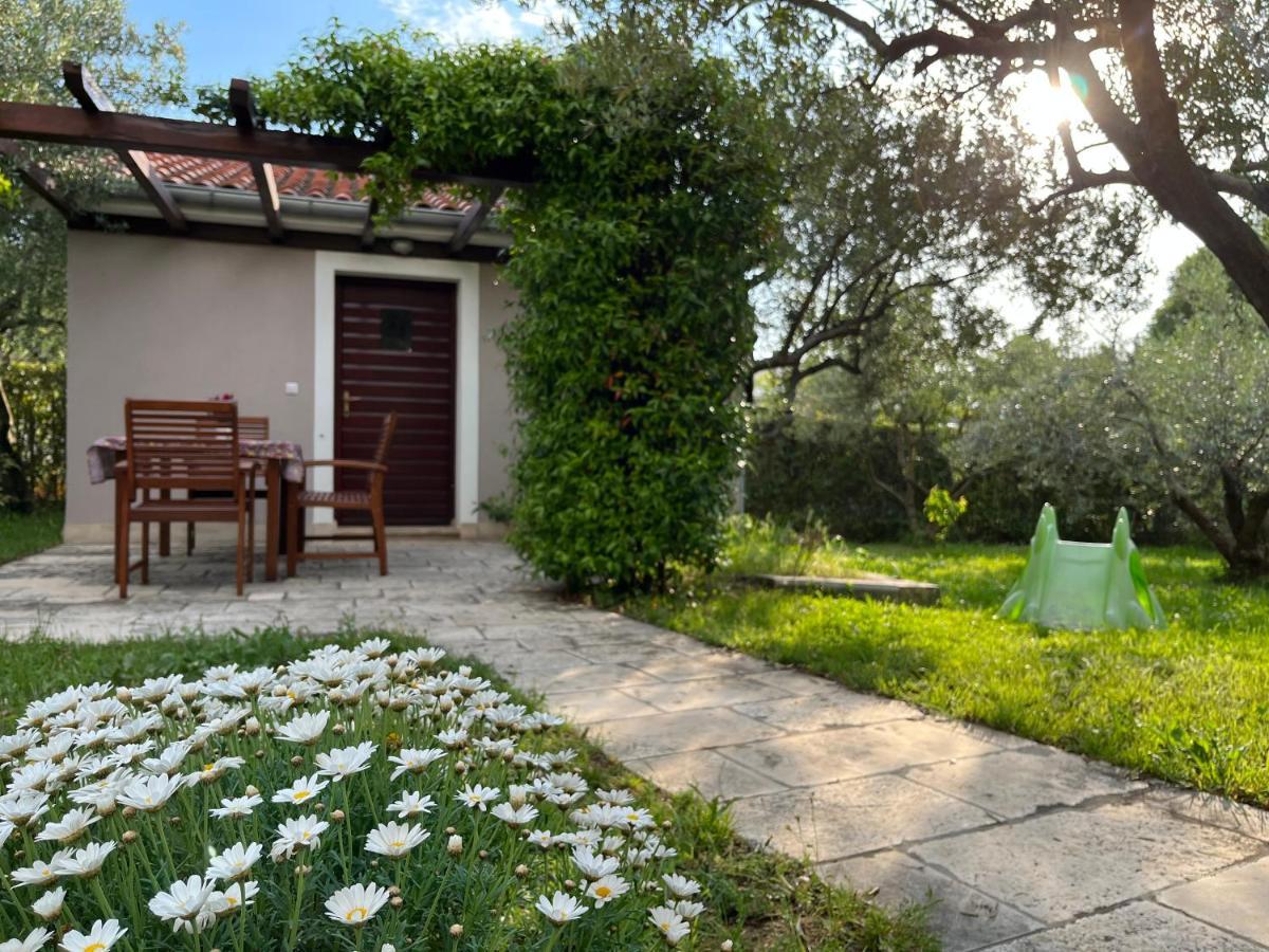 Apartment Lina Zadar Bagian luar foto
